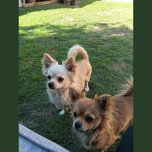 Photo of Reeba And Allan 