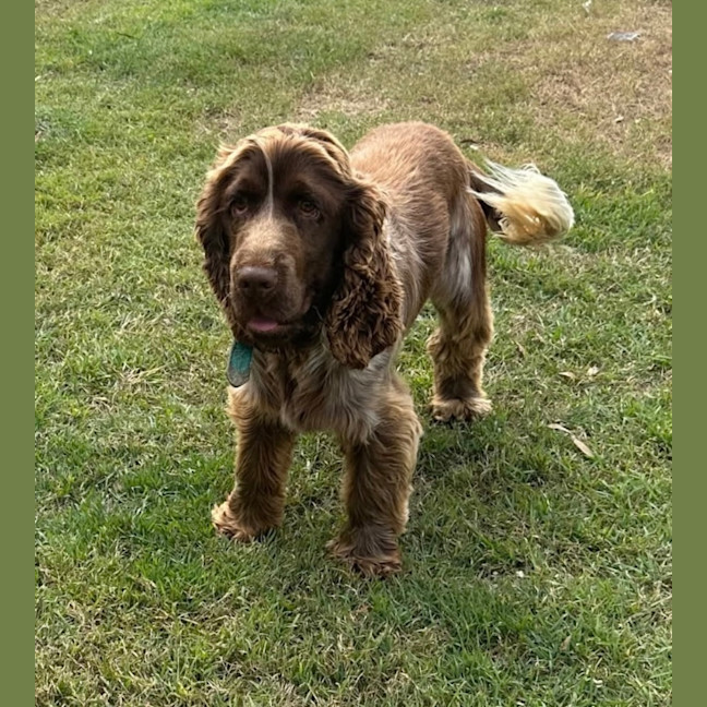 Photo of Albie