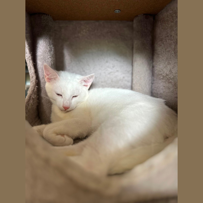 Photo of The Whities! 