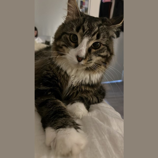 Photo of Garden Gnome Gus