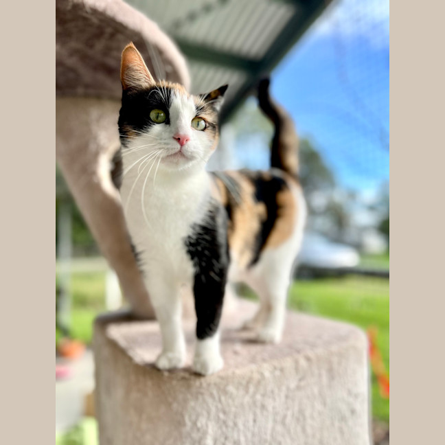 Photo of Meadow