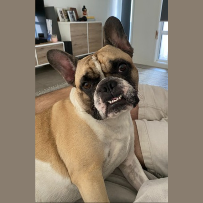 Photo of Lola