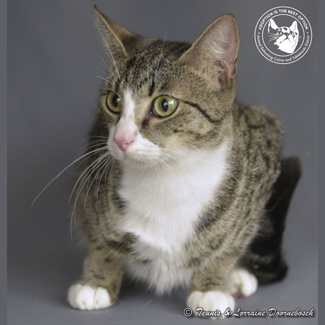 Photo of Dolly Parton