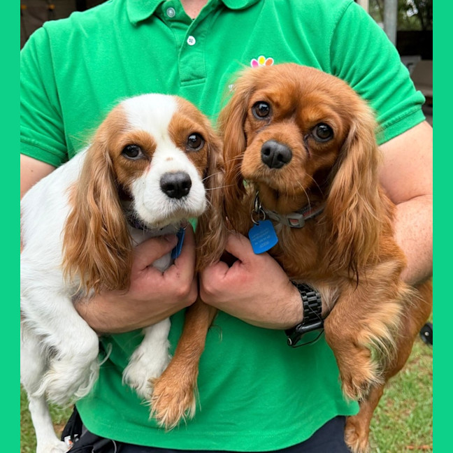 Photo of Lizzie And Velvet