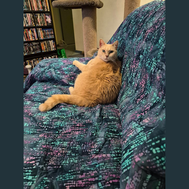 Photo of Phoebe