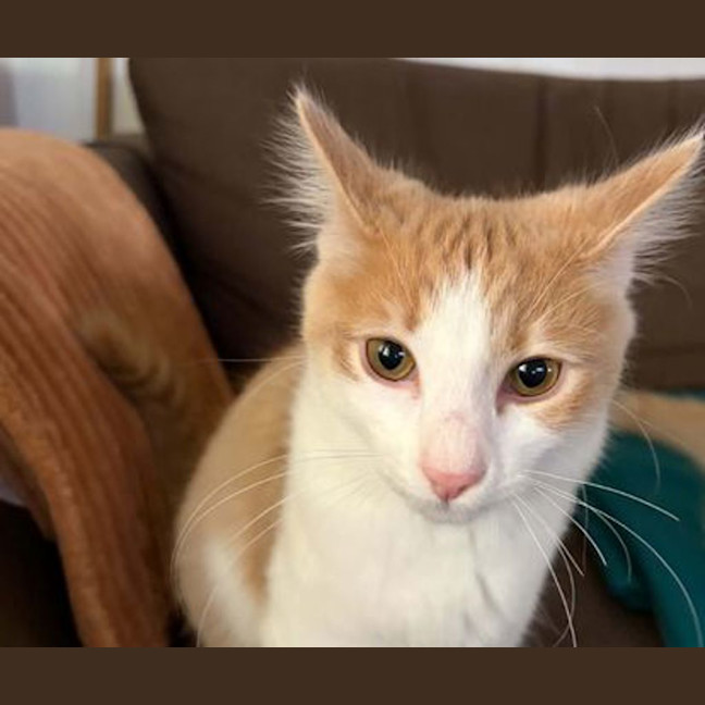 Photo of Charlie Fuzz Hill