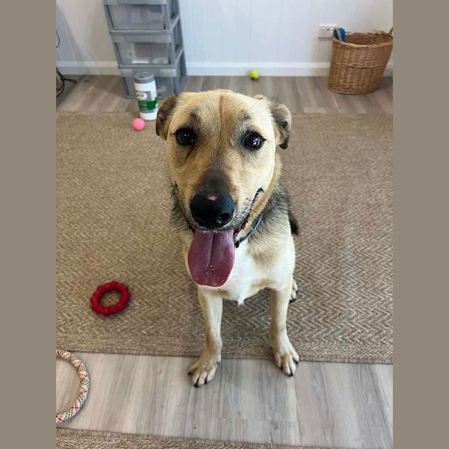 Photo of Zeus