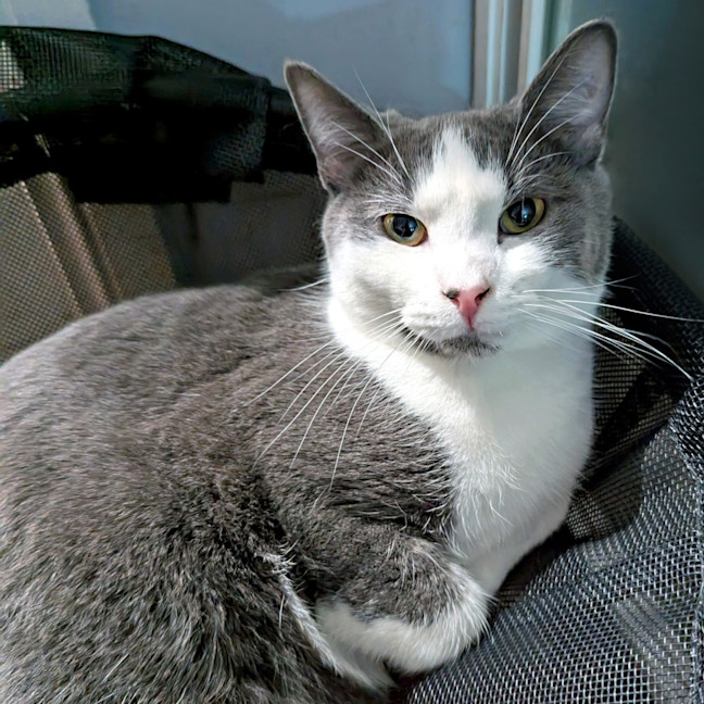 Photo of Buster