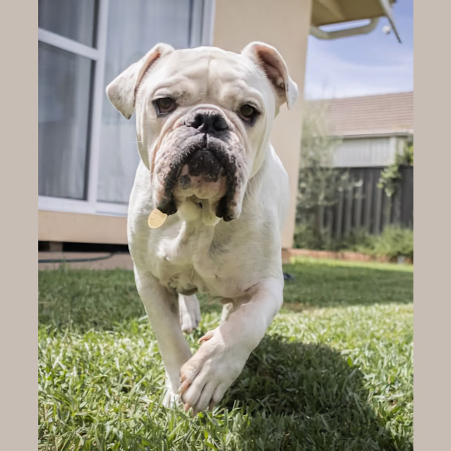 Photo of Stormin Normin