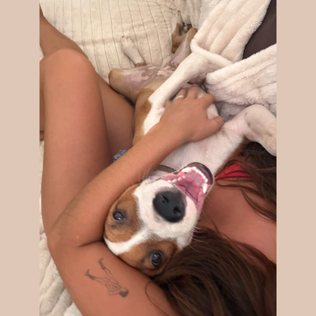 Photo of Nala