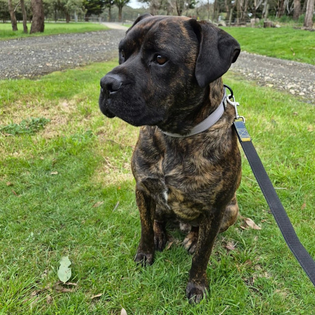 Photo of Rex
