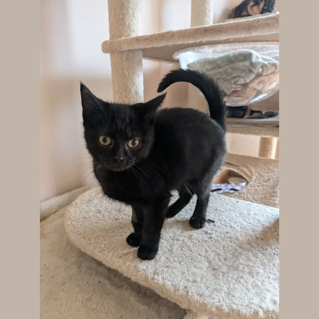 Photo of Lilith