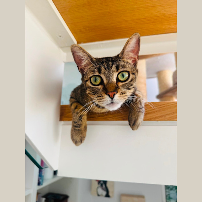 Photo of Edna