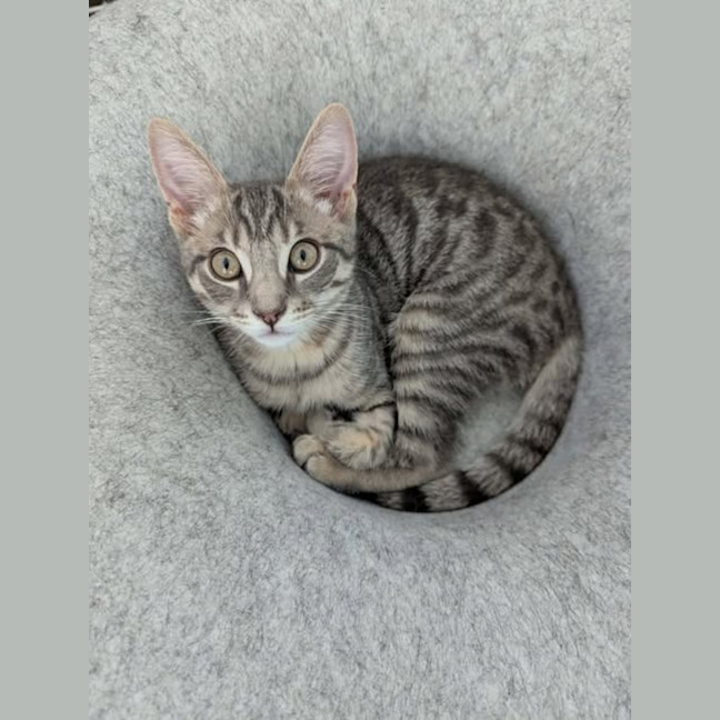 Photo of Meridith Grey