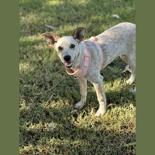 Photo of Sasha