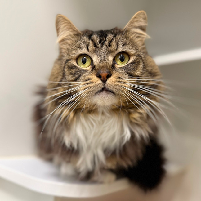 Photo of Mr. Business