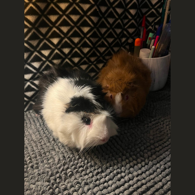 Photo of Cruise & Miles