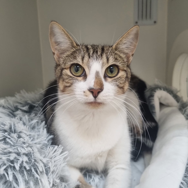 Photo of Meredith