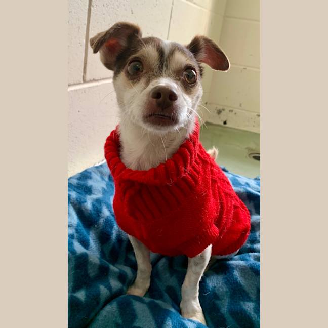 Photo of Trix