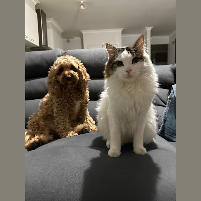 Photo of Nori & Nina