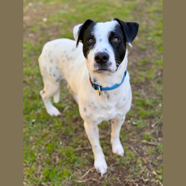 Photo of Sully