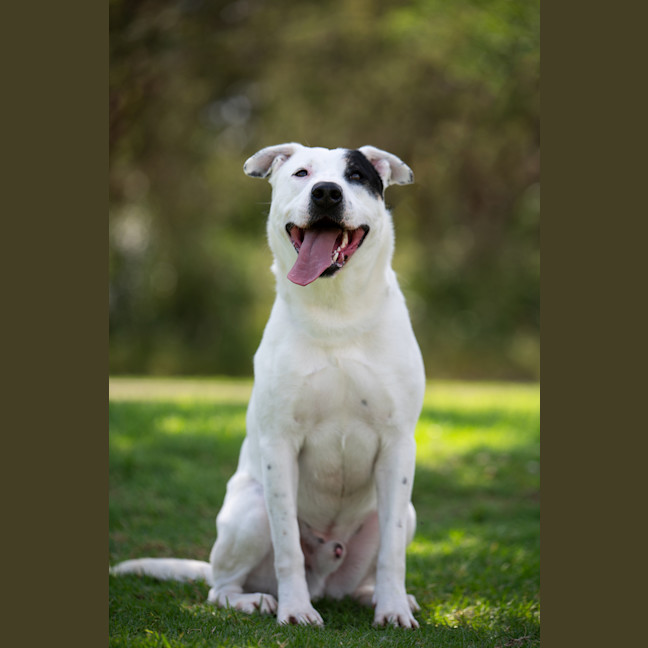 Photo of Patch