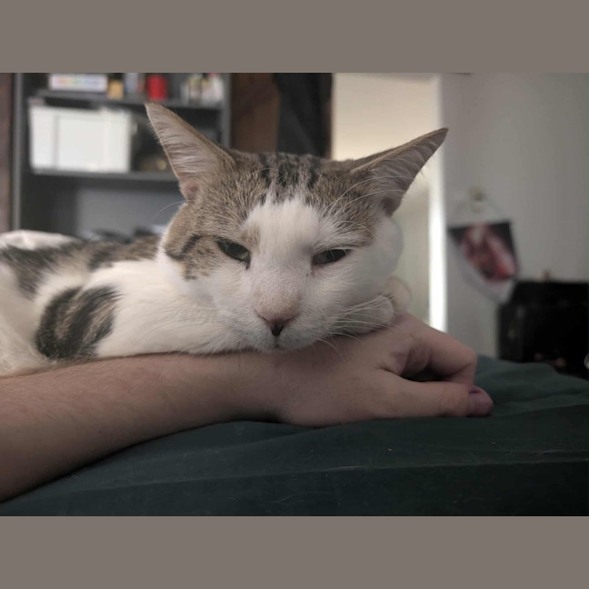 Photo of Molly / Milly