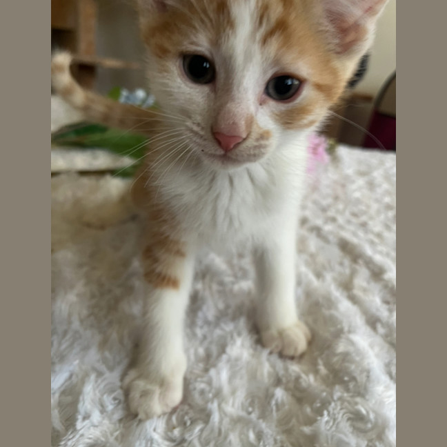 Photo of Charlie