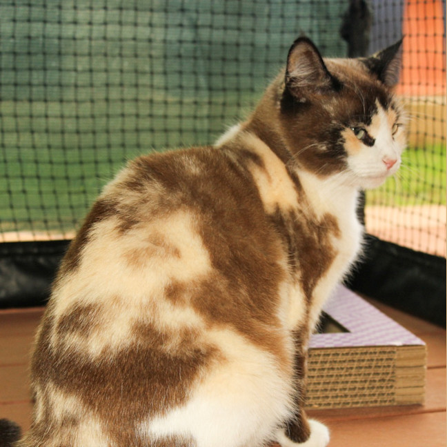 Photo of Miss Marbles