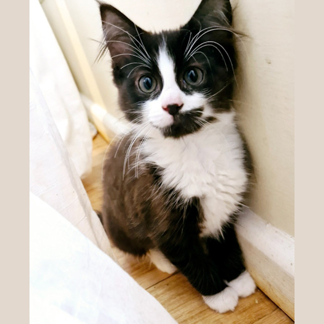 Photo of Mina