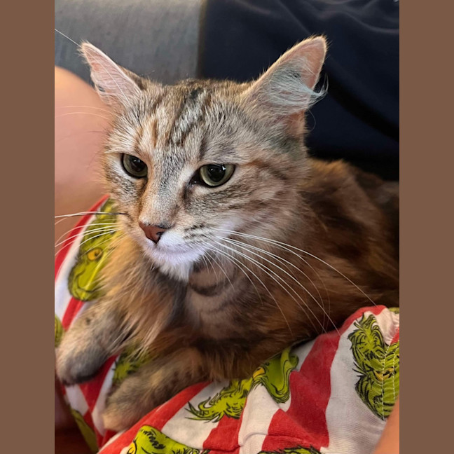 Photo of Penelope 🩷