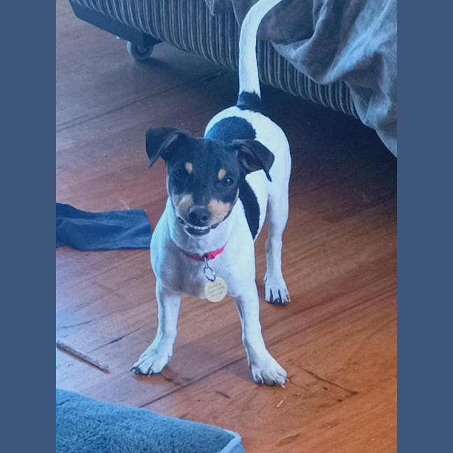 Photo of Hurkle Durkle