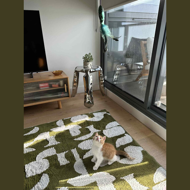 Photo of Jinkx Monsoon