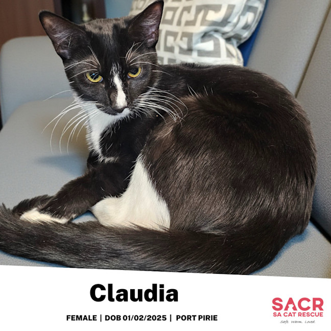 Photo of Claudia