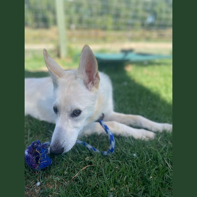 Photo of Aspen