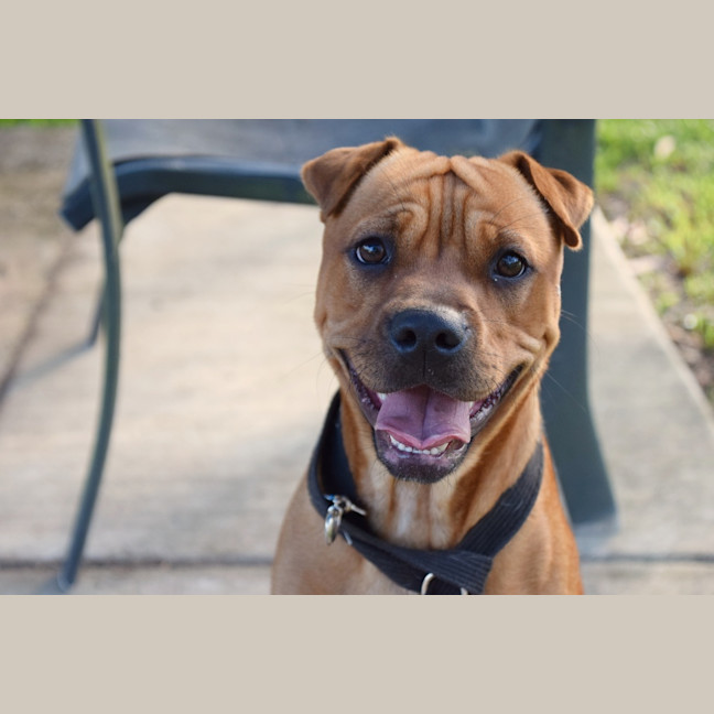Photo of Lucy