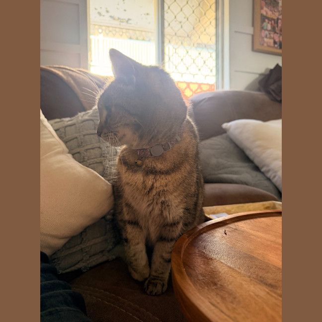 Photo of Asha