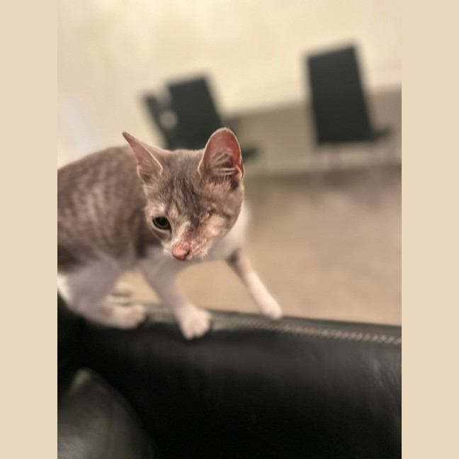 Photo of Tia