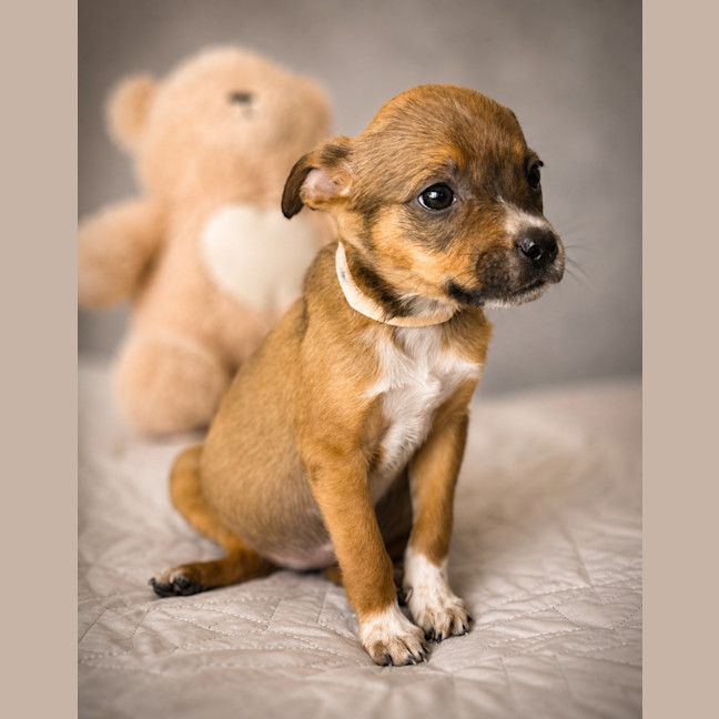 Photo of Freya