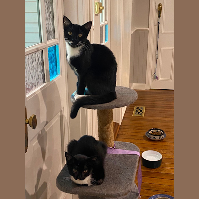 Photo of Baby & Belle