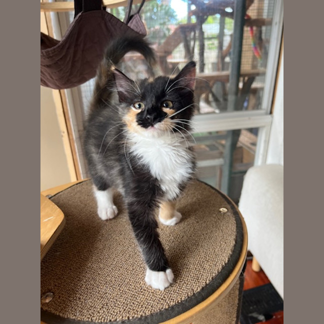 Photo of Bruce & Marigold