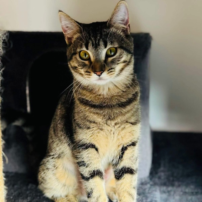 Photo of Arya
