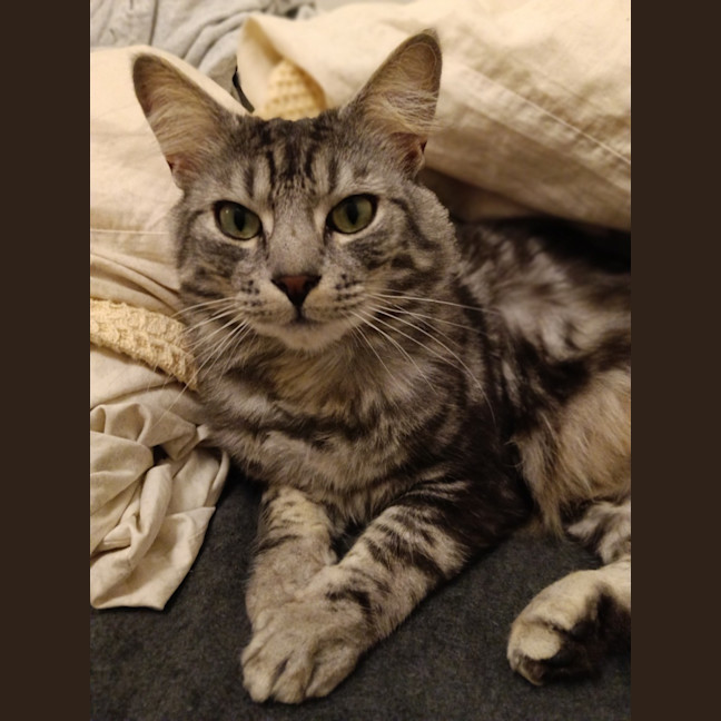 Photo of Gideon
