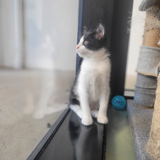 Photo of Cookies And Cream