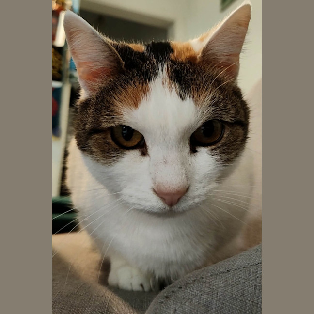 Photo of Skeeta 
