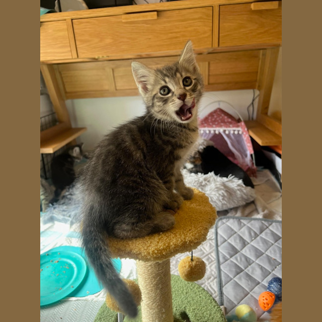 Photo of Roll