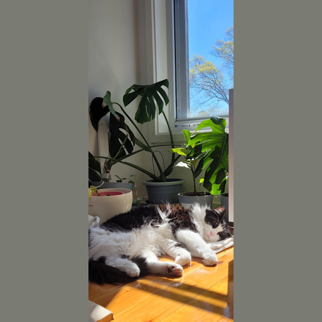 Photo of Yoko