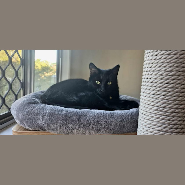 Photo of Ivy