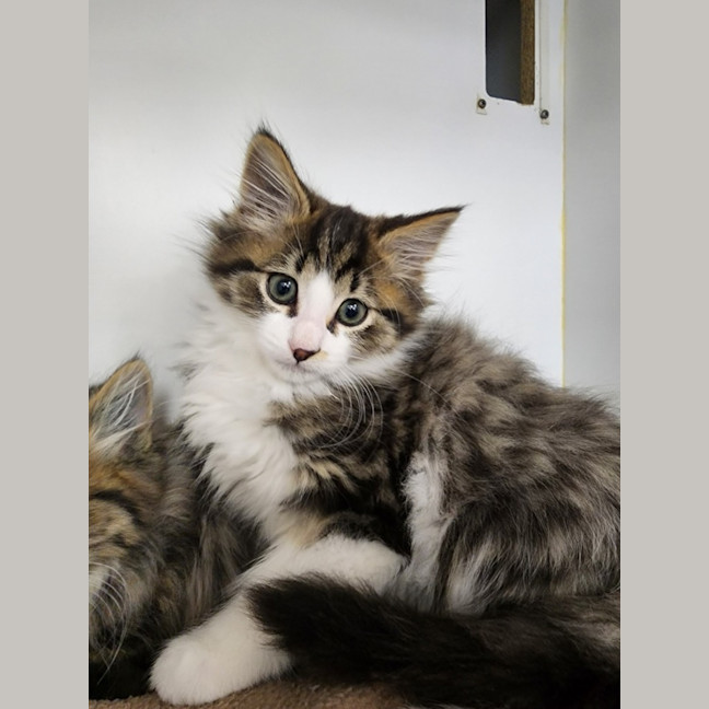 Photo of Dopey