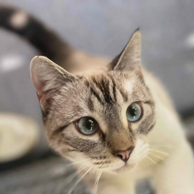 Photo of Cecile